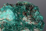 Gemmy Dioptase Crystal Cluster #175956-4